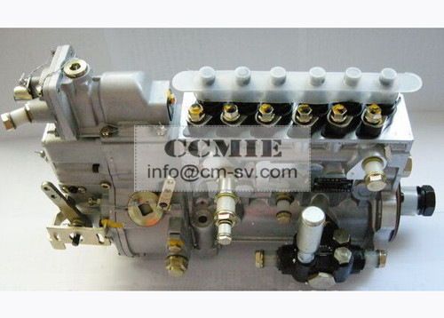 Pompe à haute pression hydraulique d'injection de carburant de pièces de moteur de WD618 Weichai