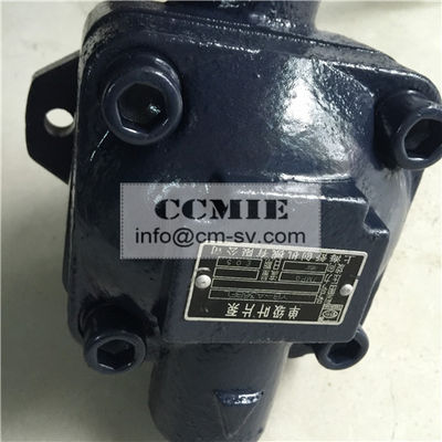 Chine Pompe de palette de pièces de rechange de rouleau de route de taille standard FCC/SGS/ISO9001 usine